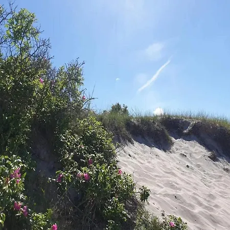 6 Person In Dronningmolle-by Traum